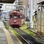 カツオまみれの高知2泊3日　3日目　高知で日本酒ゴーアラウンド