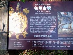 笹塚古墳
出土品のうち162点が国の重文指定。幾つかは、先述の一支国博物館で展示されています。
