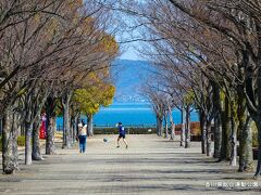 滅多にイベントの無いレクザムスタジアム の周りは、海の見える並木道が素敵な香川県総合運動公園（香川県高松市生島町）