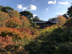 東福寺が見えて来ました。