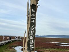 ついに、今回の旅の目的地にやって来ましたー
一面にサンゴ草&#8252;️感動&#8252;️