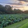 福岡大湊公園に行ってみた