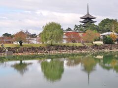 　奈良ホテルの外観全体が見えるのは荒池からとの案内から、荒池の前にやってきました。猿沢池からは樹木に遮られて見えにくかった五重塔が、荒池からはきれいに見え、水面でも柳と五重塔が共演していました。