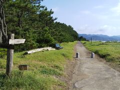 入野の浜の遊歩道です。