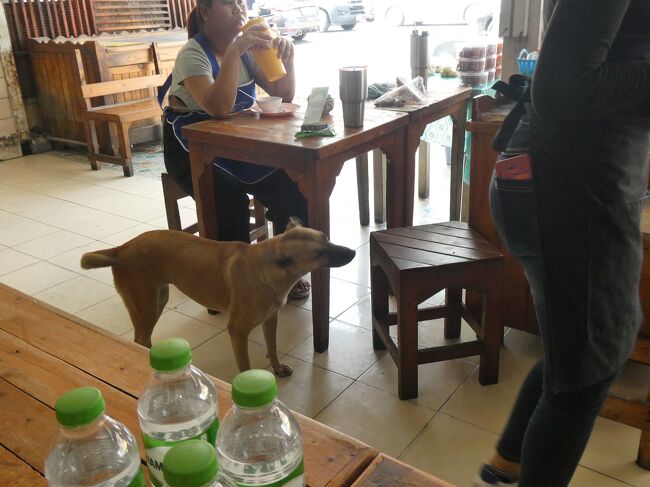 ドッグフレンドリーなお店です。