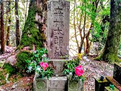 永明寺には古い墓石がたちならぶが、その中にひっそりと佇むように森鴎外の墓がある。