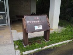 後良川から少し行った場所に「西表野生生物保護センター」があります。

環境省管轄の施設で入場料はなんと無料。
素晴らしい。