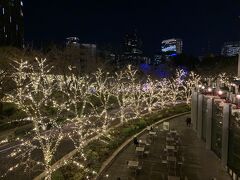 ミッドタウン東京へやってきました。
