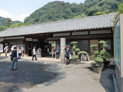 最初の観光は、仙厳園。島津家の別邸。日本を代表する大名庭園です。