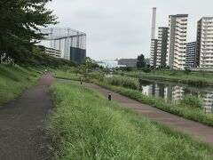 旧中川水辺公園です。