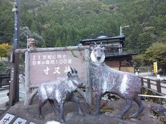 　寸又峡モニュメントの日本カモシカ