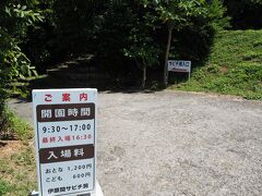 平久保から島を南下して次は「伊原間サビチ洞」へ。

サビチ洞は海に抜ける鍾乳洞です。

入場料なんと1,200円。高いんだが。