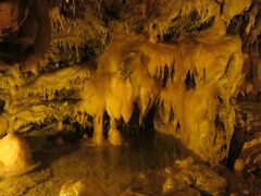 竜ヶ岩洞・・・東海地方最大規模の鍾乳洞

約400mの洞内には　落差約30mの黄金の大滝　グループごとに見ることができる鳳凰の間　など数多くのスポット点在

神秘的な　地底探検　楽しみことができます

フルーツコウモリの　ふれあいお食事ショーもあり

意外にキュートな　コウモリの仕草　見ることができます

出口には資料館併設

鍾乳洞の歴史や意義　知ることができ　当時の苦労がしのばれます

水と鍾乳石が醸し出す　自然美　体験できるスポット


