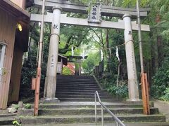 道の駅の近くに日本一の杉の木があるとのことなので、
見学に行きました。
八坂神社の境内に、その杉はあるようです。
見学料200円。