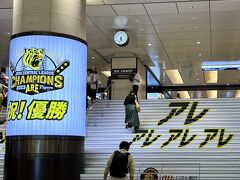 ９月２２日（金）

阪急梅田駅を通ると、１４日にセ・リーグ優勝した阪神の広告がデカデカと(*ﾟ∀ﾟ*)ｵｫ!

「アレ」推しがスゴイww