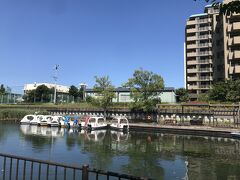 そこから橋をくぐって横十間川親水公園