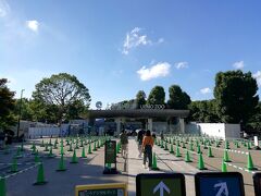 東京へ戻って上野を散策
動物園の規模でこんなコーンがおいてあるゲートは初めて
ちなみに時間的に今回は見送り