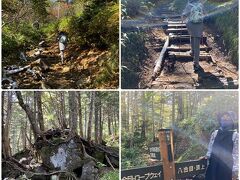 八合目までの登山道は整備されていて
とても快適に歩ける道でした。