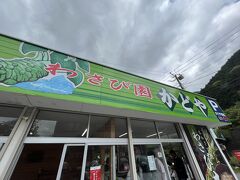 わさび園かどやでお昼ご飯をいただきます。
孤独のグルメをみてからここのわさび丼を食べたいと思ってました。
孤独のグルメ、親子でハマってます。
なんか癖になるんだよなぁ