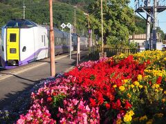 早朝、新得駅にいます。帯広始発の特急「とかち2号」に揺られての現地入り。。