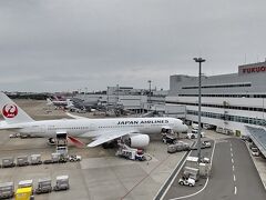 そんなこんなで「福岡空港」に到着☆
街の中にあるので、着陸時に街が見える空港。
なんとなく、街の様子が東南アジアっぽい。笑

やはり、新型のA350は着陸時のサスペンションがすばらしく柔らかい☆
普段乗りなれているB767やB737あたりだと、滑走路の継ぎ目でもダダーン！と機内がうるさいのに、この機種は低い音でﾎﾞｺってくらいで、着陸時もふわっふわ☆
「軽トラ」と「レクサス」の違いくらい、乗り心地が違います☆笑

機内の荷物入れ自体にもサスペンションが効いていて、少し 遊び があるので、着陸時などはゆらゆらしてます。が、正常です☆笑