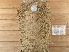 想像以上に縛られてました