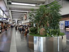 羽田空港第1ターミナルです。
今日は鹿児島空港にお昼に集合なので、ゆっくりの出発です。

時間帯のせいなのか、南ウイングはあまり混んでいません。