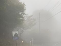 有名な修行の場などがあちこちにあったらしいが、全く見えず、寄ることもせず、ひたすら走り抜ける。
ただ、走り抜けただけの比叡山訪問になってしまった。