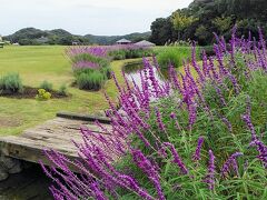 勝浦の丘の上にある景色の良いブルーベリーヒル勝浦でランチです