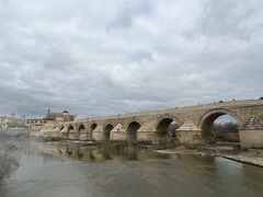 川岸から
なんとなくチェコのカレル橋に似てる気がします
こういったローマっぽい橋は心が躍りますね！