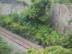 運休中の陸羽西線の線路
列車が走らない線路を見るのはとても寂しい。