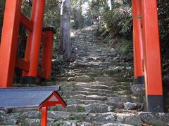 この神社は　500段もの急な石段のを登って行きます
写真では　なかなか伝わらないかもしれませんが
本当に急です
上りは　まだいいですが　下りの方が怖いと思います
足に自信のない人は　厳しいと思います