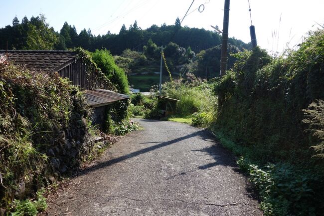 南紀・熊野古道 南紀・熊野古道フリーきっぷ』 で行く 中辺路コース | 東海旅客