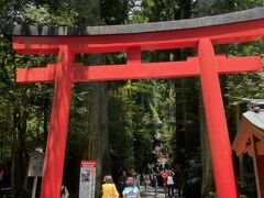 キャリーバッグをゴロゴロしながら箱根神社に来ました。