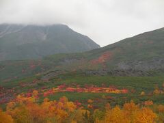 十勝岳望岳台