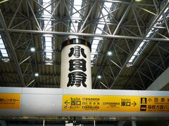 予定より40分くらい遅れて小田原駅到着。
時間に余裕もっといてよかった。
平日だけどそれなりに観光客いました。
いつもの巨大小田原提灯！
