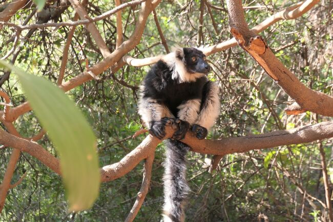 やんちゃそうなやつです!