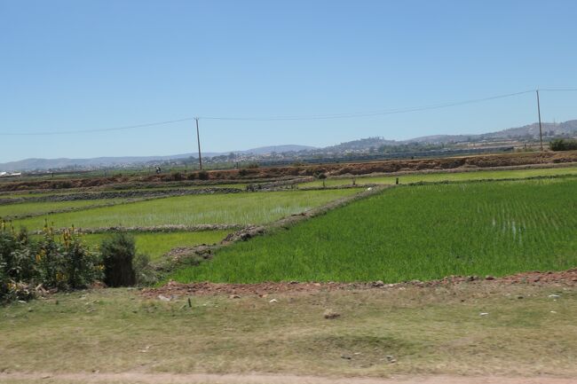 で、ホテルで手配してくれた車で 世界遺産「アンブヒマンガの丘の王領地」へ!<br /><br />途中の田園地帯です. <br />本当に日本の田舎の風景ですね...ここはアフリカなのかって感覚になります!!