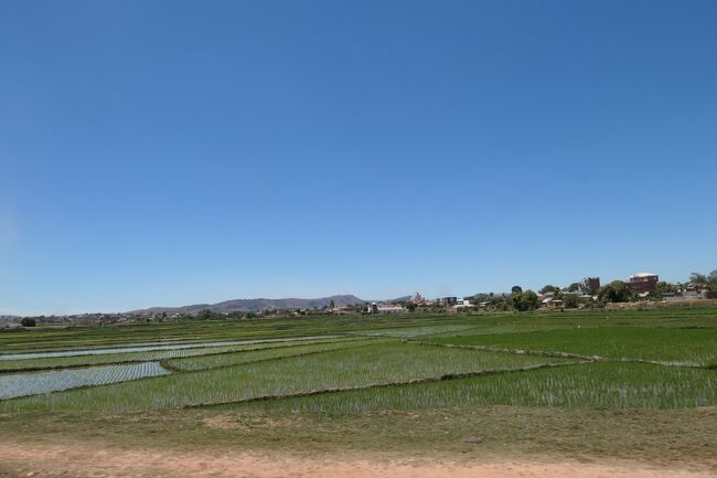 で、またアジアっぽい 田園地帯を通って、