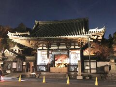 《石山寺》山門
「びわ湖大津館」で夕食を取った後に、国宝と紅葉を幻想的にライトアップする瀬田川沿いにある「石山寺」の「あらた夜もみじ」を見に向かいました。。時期的にもう紅葉は終わりかと思っていましたが、今年は色づくのが例年に比べて遅く、緑、黄色そして赤のコントラストが非常に色鮮やかなコントラストで非常に印象に残りました。以前、誰だったか思い出せませんが、ある人のこんな話を聞いたことがあります。「紅葉」は、毎年違った顔をみせるので、それを見たり写真に収めたりするのを楽しみにしているという話です。昨年は、同じような日時に京都の「醍醐寺」、「圓光寺」や「東福寺」に行きましたが、紅葉の終わりごろでした。同じ時期に紅葉の進み具合もこうも違うものなんですね。
「石山寺」に到着すると夜間の見学のコースは決まっていて、地面に置かれた行燈を頼り光の道を前に進みます。これがまた幻想的な風景を醸し出しています。「東大門」を潜り参道を進みます。「あらた夜もみじ」での紅葉の見どころは、清泉を湛える「閼伽井屋」の池に写る「さかさもみじ」、2020年から解放された「無憂園」、「硅灰石」と「多宝塔」を借景にした紅葉、映像が「本堂」近くの「蓮如堂」の障子に映し出される「デジタル縁起絵巻」などです。夜間で見ることのできるコースは限られていましたので、その他の見どころについては、下に記載してあります。ちなみに「石山寺」の歴史を紐解いてみると奈良時代後期に「聖武天皇」の発願により、「良弁」によって開かれました。広大な境内には、寺名の由来となったごつごつとした感じの天然記念物の「硅灰石」がそびえていっています。また、「紫式部」を始め、古来より多くの文学者が訪れたことから「文学の寺」や境内に四季折々の花が咲き誇ることから、「花の寺」としても知られています。

【「石山寺」の見どころ】
《参拝のポイント》
石山寺の観光所要時間は2時間前後が目安。境内は非常に広く、見どころもたくさんありますが、階段や坂道が多いので、運動靴で参拝するのがおすすめです。
?　「東大門」と「仁王像」
「石山寺」の拝観はこの「東大門」からはじまります。「東大門」は「石山寺」の正門で、重要文化財に指定されています。鎌倉時代の建立とされていますが、「淀殿」の寄進による伽藍再興の際に、大規模な修理が行われました。そして「東大門」は、なんといっても迫力とバランスのとれた美しい門構えが魅力的です。さらに「東大門」の中には「仁王像」があります。この「仁王像」は「運慶」とその長男である「湛慶」が作成しました。何と言っても「仁王像」は、その迫力と美しさの両方が調和していて、「東大門」の内外には見どころが満載です。
?　「しじみ貝塚碑」
「東大門」前付近にある「しじみ貝塚碑」は、縄文時代の遺跡で、「石山貝塚」を記念する碑です。「石山貝塚」からは住居跡や人骨・土器などが出土したそうです。「石山寺」は縄文時代以前の文化に触れることができる数少ないお寺の内の一つです。
?　「閼伽井屋」
「東大門」を潜り参道を歩くと「那須野与一の地蔵尊」の先に「閼伽井屋」はあります。「閼伽」とは水のことで、この「閼伽井屋」は、「石山寺」の井戸のことを指します。「本尊」に供える水はここから汲まれています。「三井寺」にもありますが、やはり少し小さめな建物ですが、聖域と歴史ある威厳を感じさせる雰囲気があります。
?　「本堂」
「本堂」へは、「閼伽井屋」の右手に階段がありそれを上ると「蓮如堂」がありその奥にあります。「本堂」は奈良時代時に建立されました。「本堂」は承暦2年(1078年）に焼失し、その後永長元年（1096年）に再建されたのが現在の「本堂」です。再建された「本堂」でさえ千年の歴史があります。当然そのような歴史的建造物ですから当然のことながら国宝に指定されています。「本堂」に入ると内陣の宮殿には、勅封秘仏の「如意輪観音世音菩薩」が安置されています。「本尊」は、安産、福徳、縁結び、厄除けの霊験あらたかな観音様として、信仰を集めています。
?　「多宝塔」
「多宝塔」は、「本殿」を参拝したあと、階段を下り、「硅灰石」の前を通り、「良弁の杖桜」と「御影堂」の間にある階段を上って行くとあります。「多宝塔」は、源頼朝の寄進により建立されました。「石山寺」の「多宝塔」は日本最古のものです。また、「国宝」にも認定されています。日本郵便の発行する「4円切手」のデザインにもなりました。「多宝塔」は、「硅灰石」の上に建造されたスリル満点の建築物です。
?　「月見亭」
「多宝塔」のさらに奥へ上がって行くと「月見亭」があります。「月見亭」は、保元年間に「後白河上皇」の行幸の際に建立されました。「月見亭」は、崖にせり出すように造られていて、スリル満点です。「瀬田川」を見下ろす絶好の眺望を見ることができ、「近江八景石山の秋月」の図に描かれています。毎年の中秋の名月の日には「秋月祭」が行われ、多くの観光客で賑わうそうです。
?　「石山寺豊浄殿」
「月見亭」を後にして、「芭蕉庵」の所にある道を上がっていくと「石山寺豊浄殿」があります。「石山寺豊浄殿」は、「多宝塔」の北西、「石山寺」の最も高いところにある「宝物館」です。毎年春（3/18～6/30）と秋（9/1～11/30）の年二回開催される「石山寺と紫式部」展では、「石山寺」に伝わる宝物や「紫式部」、「源氏物語」に関連した展示を行っています。
?　「光堂」
「石山寺豊浄殿」をさらに進むと「光堂」があります。なんと「光堂」の歴史は鎌倉時代に遡ります。「光堂」は、日本の伝統的建築技法を駆使した「懸崖造」により造られています。「光堂」の下には、牡丹園が広がり、風光明媚な景観を演出しています。残念ながら牡丹の時期ではなかったのでその素晴らしい光景は見ることはできませんでした。
【「石山寺」の一口メモ】
?　参拝時間…8:00～16:30
?　住所…〒520-0861 滋賀県大津市石山寺１丁目１－１　電話：07-7537-0013
?　入山料…①　一般(中学生以上)600円　②　小学生250円
?　本堂内陣拝観料…①　一般(中学生以上)500円　②　小学生250円
?　紫式部展入場料…①　一般(中学生以上)300円　②　小学生150円
?　あらた夜もみじ
　ア　期間…2022年11月11日～11月27日　　イ　時間…17:30～21:00
　ウ　入山料…①　一般800円　②　中高生600円　③　小学生300円
