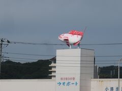 活き活き小湊ウオポート