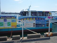 JR にて静岡駅から清水駅に移動。歩いて清水魚市場の裏手、船着場から水上バスに乗り込みます。