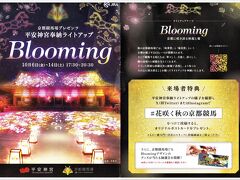 京都競馬場プレゼンツ〝平安神宮ライトアップ〟Bloomig