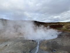 今日は
アイスランドの西部にはりだしたレイキャネス半島へ
地熱活動の活発な場所クリースヴィークへ