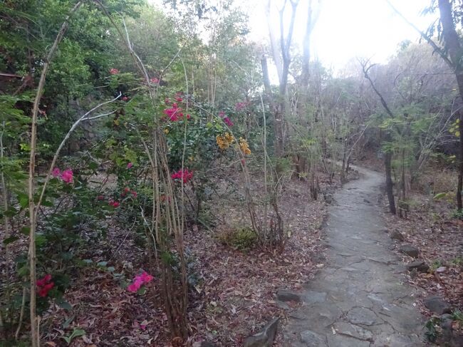 H内の道を通りRに行きます。