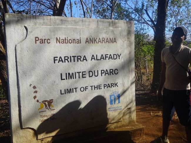 アンカラナ特別保護区（Anは場所　カラナは浸食された石灰岩の意味　８２００Haで４－１１月は雨期　６月は水が入って入れない。１１－３月が良い季節　雨季は石灰岩が浸食される為、雨も重要です。乾季には川が無くなる。バオバブは湿気のある所に多い。８種あります。オーストラリアにも１種あります。