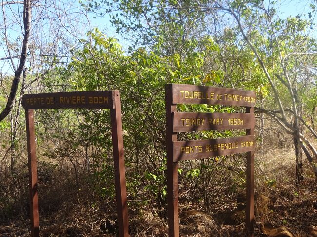 分れ道（左に行き、帰りは右より帰ります。）