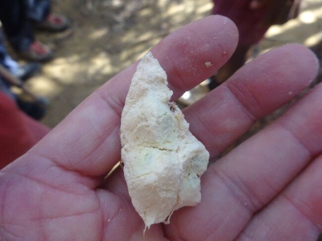 バオバブの実（アフリカ本土の実よりCaが多い。精力剤になる。）