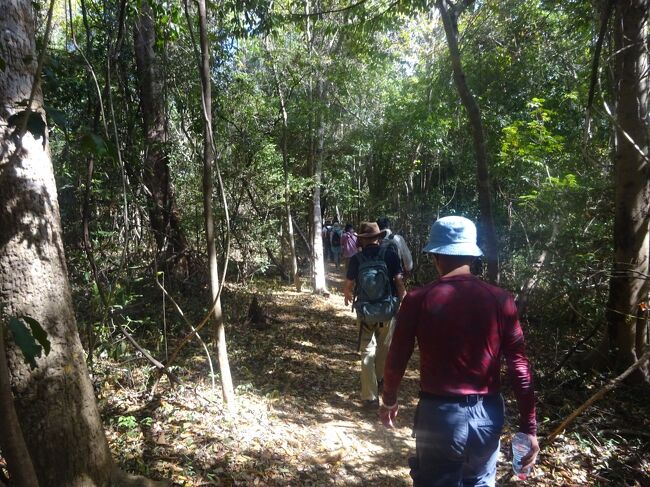 このような道を歩きます。（ほぼ、平坦です。）