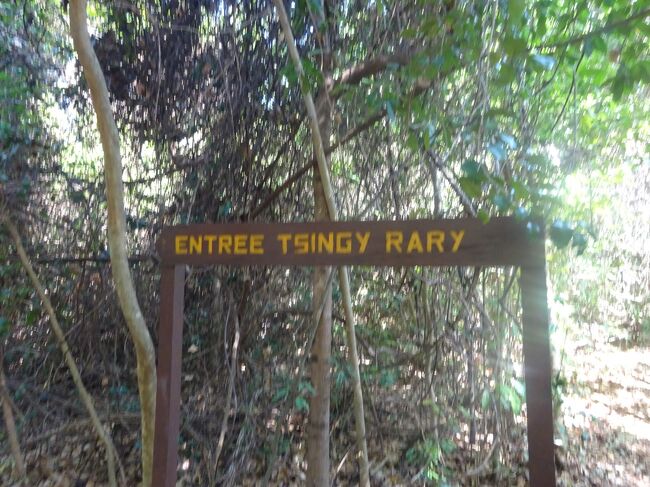 分けれ道の標識（ツインギーに進みます。）